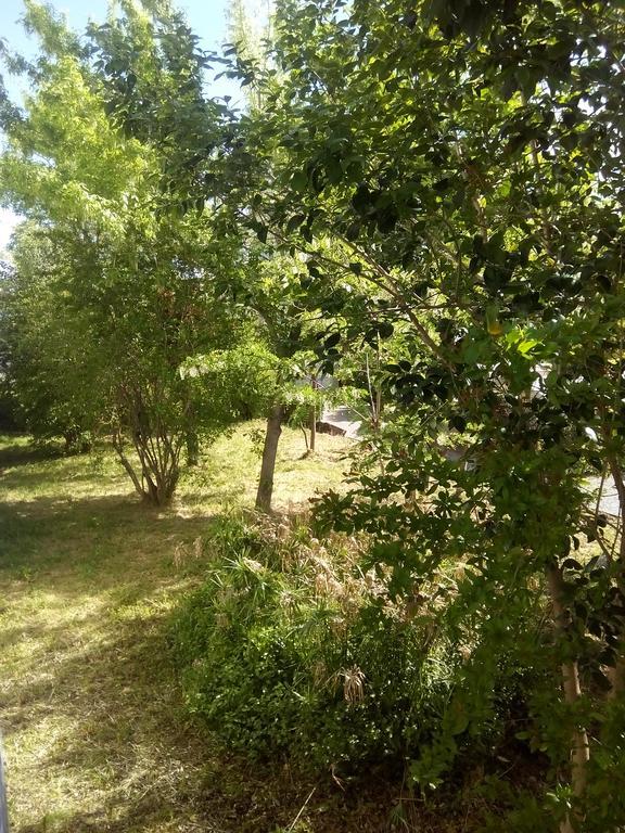 Grand Studio Proche Transport Montpellier Zewnętrze zdjęcie