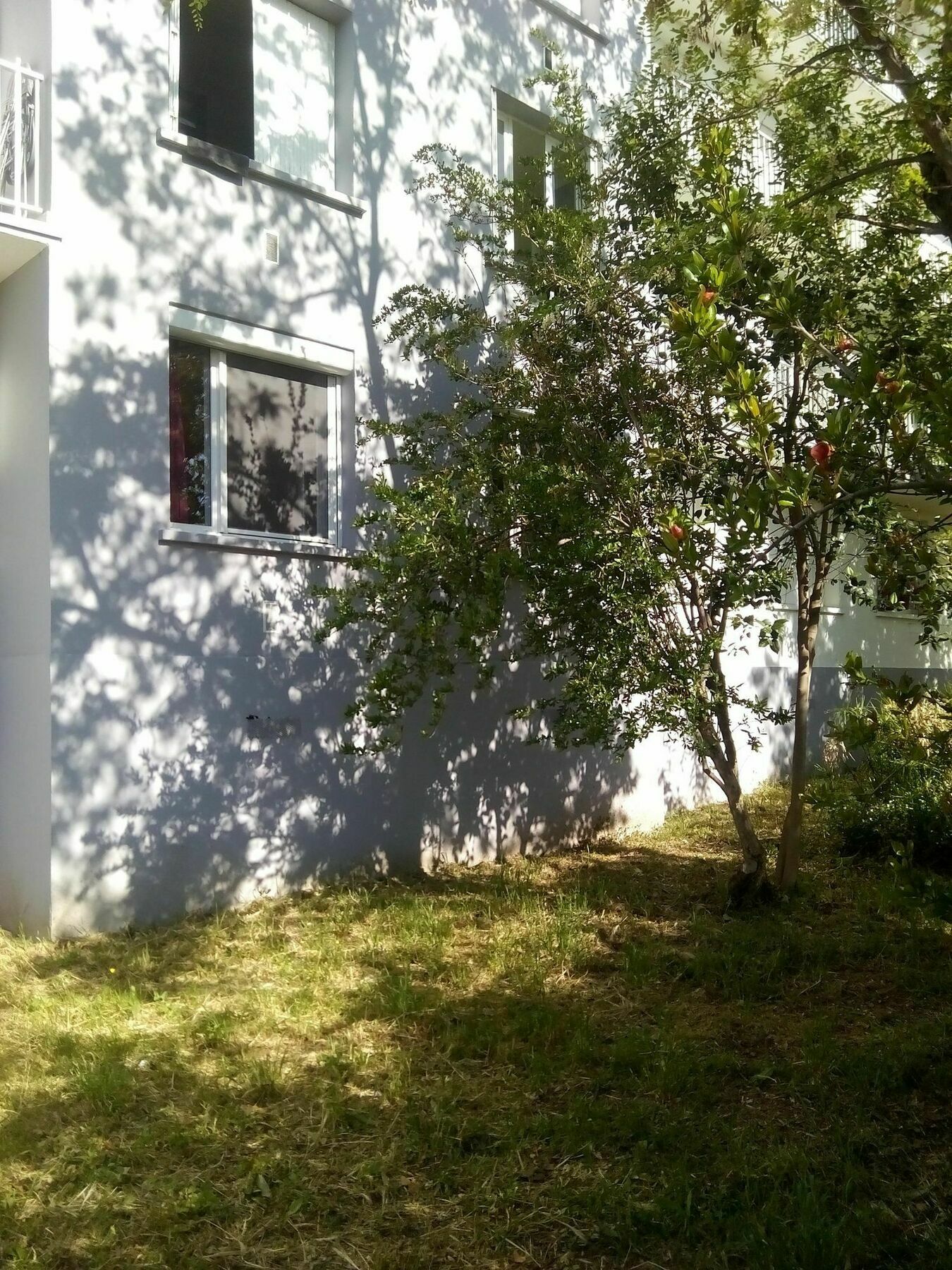 Grand Studio Proche Transport Montpellier Zewnętrze zdjęcie
